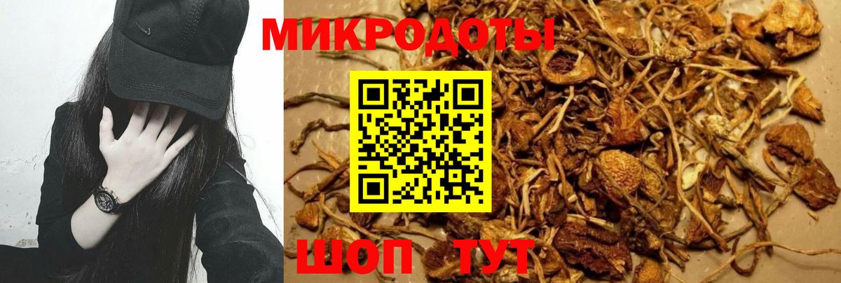Галлюциногенные грибы мицелий  Вход с VPN  Выкса 